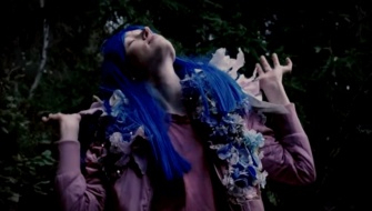 Wild Flower